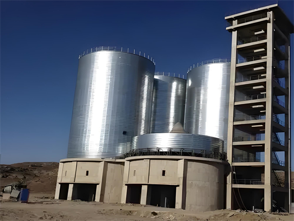 阿拉善左球团仓